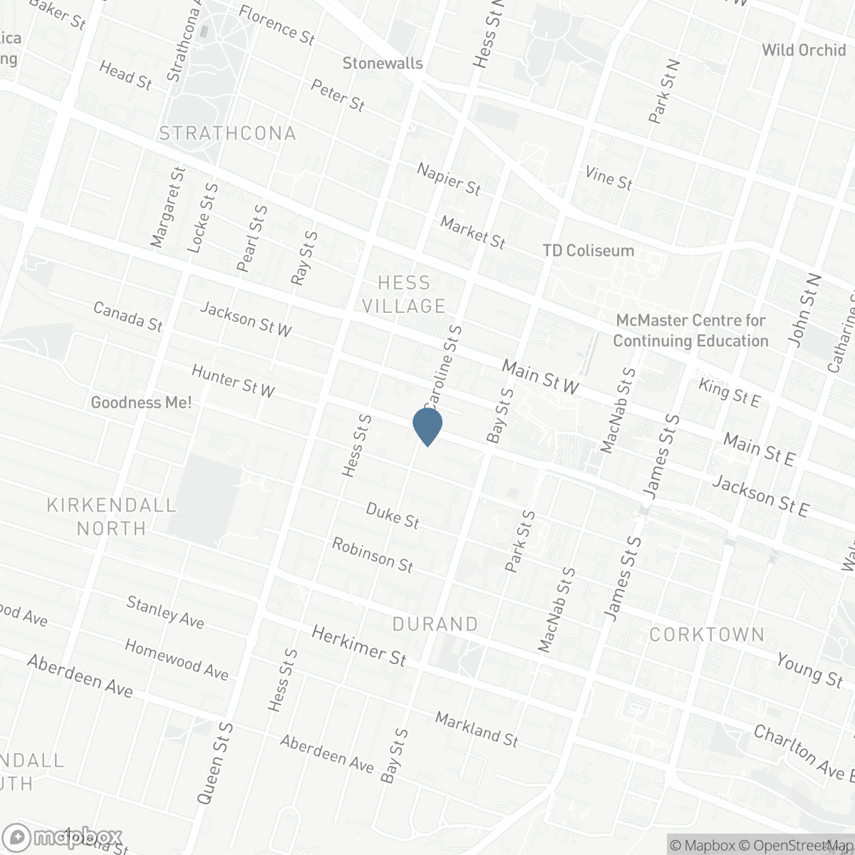 144 HUNTER Street W, Hamilton, Ontario L8P 1R1
